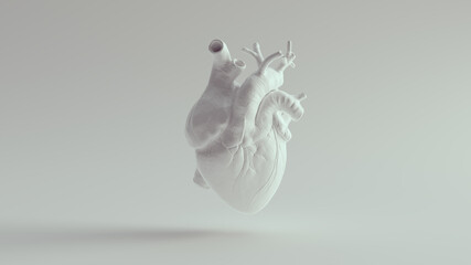 Human Heart Pure White Anatomical Model 3d illustration render - 400970343