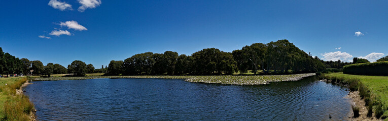 Beautiful panoramic view of a pond with lily pad in the water and tall trees and deep blue sky in the background, Centennial park, Sydney, New South Wales, Australia
