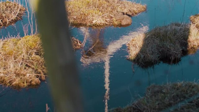 Reflection of wind mill blowing in the wind spinning in the water mirror mirroring aggro culture Eco friendly futuristic 2021 power energy source plant producing electricity for households puddles wet