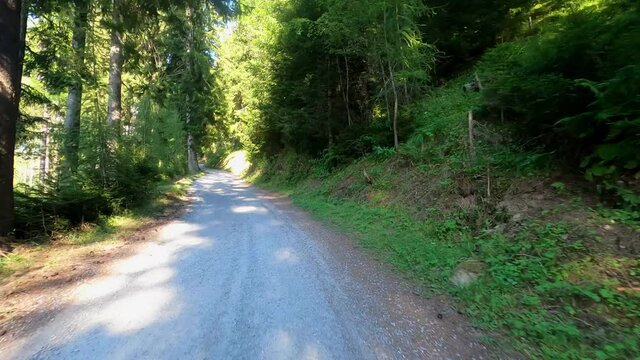 Dangerous mountain road with an offroad without asphalt. Mountains, natural road and trees are in the picture