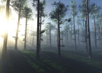 Sunrise in the forest, the sun among the trees, Pine forest in the fog, trees in the sun, morning park in the haze, 3D rendering