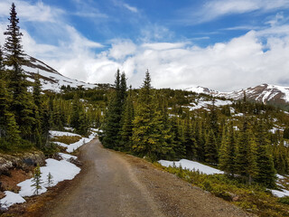 Hiking trail in rocky mountains in Alberta, Canada