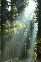 Obraz premium 世界遺産 紅葉の中尊寺