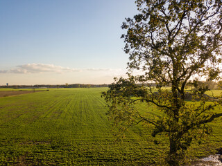 Dramatic and colorful sunrise or sunset sky over a grassy green farmfield shot from drone high up. High quality photo