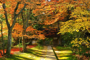 世界遺産　紅葉の中尊寺