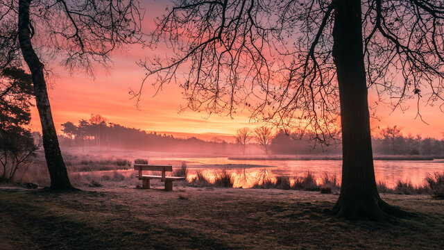 wooden bench between two trees overlooking a fen with orange sunrise above it in nature reserve in the Netherlands