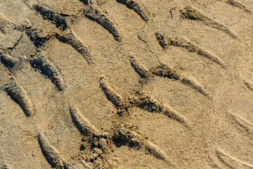 Impints of the truck tires on sand near quarry. Earthworks, offroad