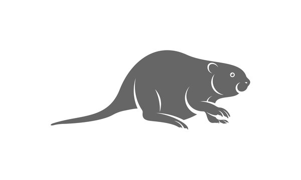 Beaver logo vector, Creative Beaver logo design concepts template, icon symbol, illustration