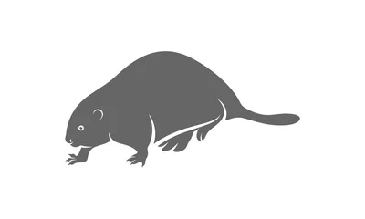Tuinposter Beaver logo vector, Creative Beaver logo design concepts template, icon symbol, illustration © shuttersport