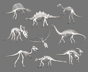 Dinosaurs bones hand drawn vector illustrations set © GooseFrol