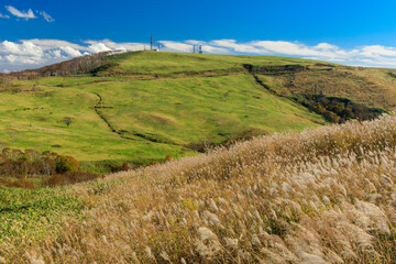 Obraz premium 秋のきじひき高原