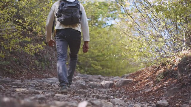 Tourist with a Backpack Goes Up Along the Stone Trail in Mountain Forest. Man hiking along the path through a rocky mountain forest. Low angle of view. Mountain tourism. Partially Defocused image.