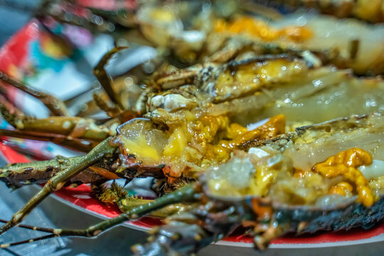 Lobster from farm on Xuan Dai bay, Phu Yen, Vietnam
