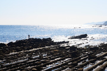 日南海岸と釣り人 (Nichinan coast and fisherman)