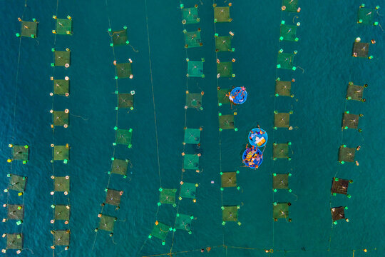 Aerial view of  shrimp ( prawn ) farm and lobster in front of Yen island, Phu Yen, Vietnam.
