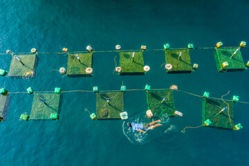 Aerial view of  shrimp ( prawn ) farm and lobster in front of Yen island, Phu Yen, Vietnam.