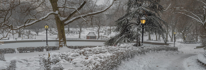 Central Park in winter