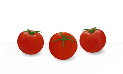 Tomatoes on a white background. Realistic vector illustration.