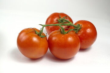 
ripe and juicy tomatoes on a branch with water droplets