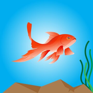 illustration gold fish for child's lesson or addition to coloring books