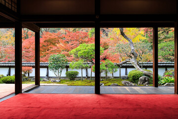 正暦寺 (2012/11/20撮影)