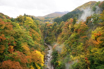 Misty mountain view with beautiful red and yellow maple leaf at Oyasukyo gorge in Japan, aerial view - 紅葉したもみじ 小安峡 温泉 秋田県湯沢市	