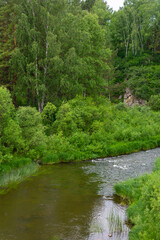 Fototapeta na wymiar Small forest river Alchedat