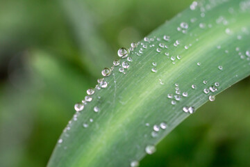 緑と水　環境とエコのイメージ