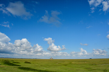 牧草地と朝のモンサンミッシェルの風景