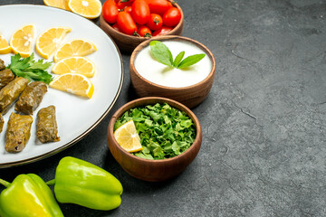 bottom half view stuffed grape leaves and lemon half slices on plate bowls with cherry tomatoes natural yogurt parsley green peppers slices of lemon on dark background with copy space