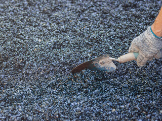 Close-up of hand holding a small metal shovel to adjust the ready-made asphalt for the walkway. Constructed from asphalt. Space for text