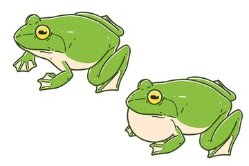Frogs. Vector illustrations set.