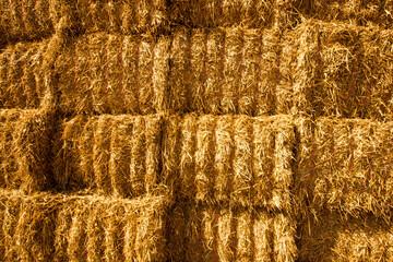 Bales of Hay