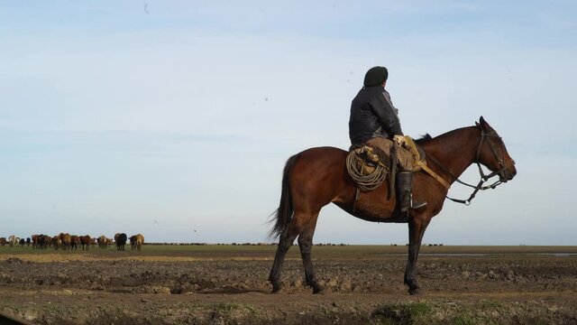 Man on horseback looking at cattle on the horizon.