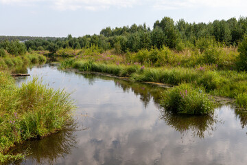 A river with a slow flow, with overgrown grass banks, with the reflection of the sky in the water
