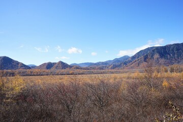 Senjogahara Marshland in Nikko, Tochigi prefecture, Japan - 戦場ヶ原 栃木県 日光市