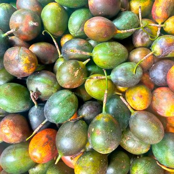 passion fruit