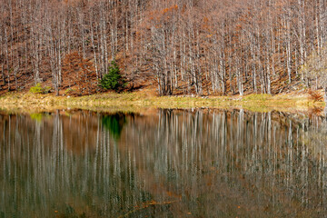 Beautiful autumn reflections on the water of Lake Santo Modenese, Italy