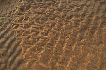 Fototapeta na wymiar Sand texture close up, beach