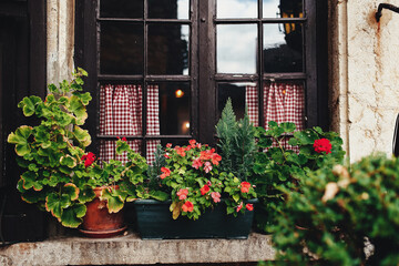 Fototapeta na wymiar Vases on a windowsill in Perouges, France