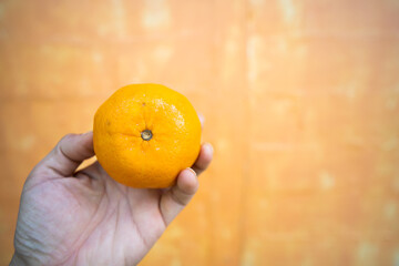 Hand holding orange on wood orange background