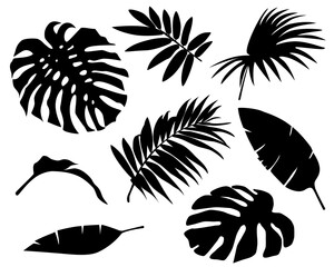 Set of palm leaves silhouettes isolated on white background. Tropical exotic leaf. Vector