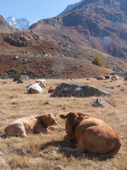 col d?arsine, la grave, hautes alpes, FRANCE