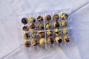 quail eggs in package isolated on white. Quail eggs in plastic packaging.