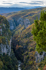 vikos gorge on Tymfi mountain  with fall colors near tsepelovo  in Zagori Epirus, Greece.