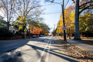bike lane, atlanta, georgia, usa, safe, barrier, barricade, colorful, fall, season, foliage,