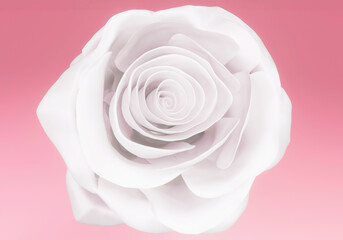 one elegant white rose close up background, 3d render