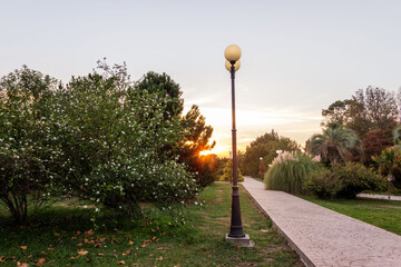 Paved path with lanterns in the city park at sunset. No people walking along the alley in the nature park..
