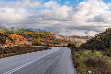 Street view of the forest  with fall colours near aspraggeloi village in zagori,  epirus greece