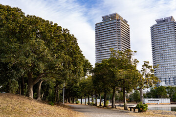 Fototapeta premium 台場公園からの景色